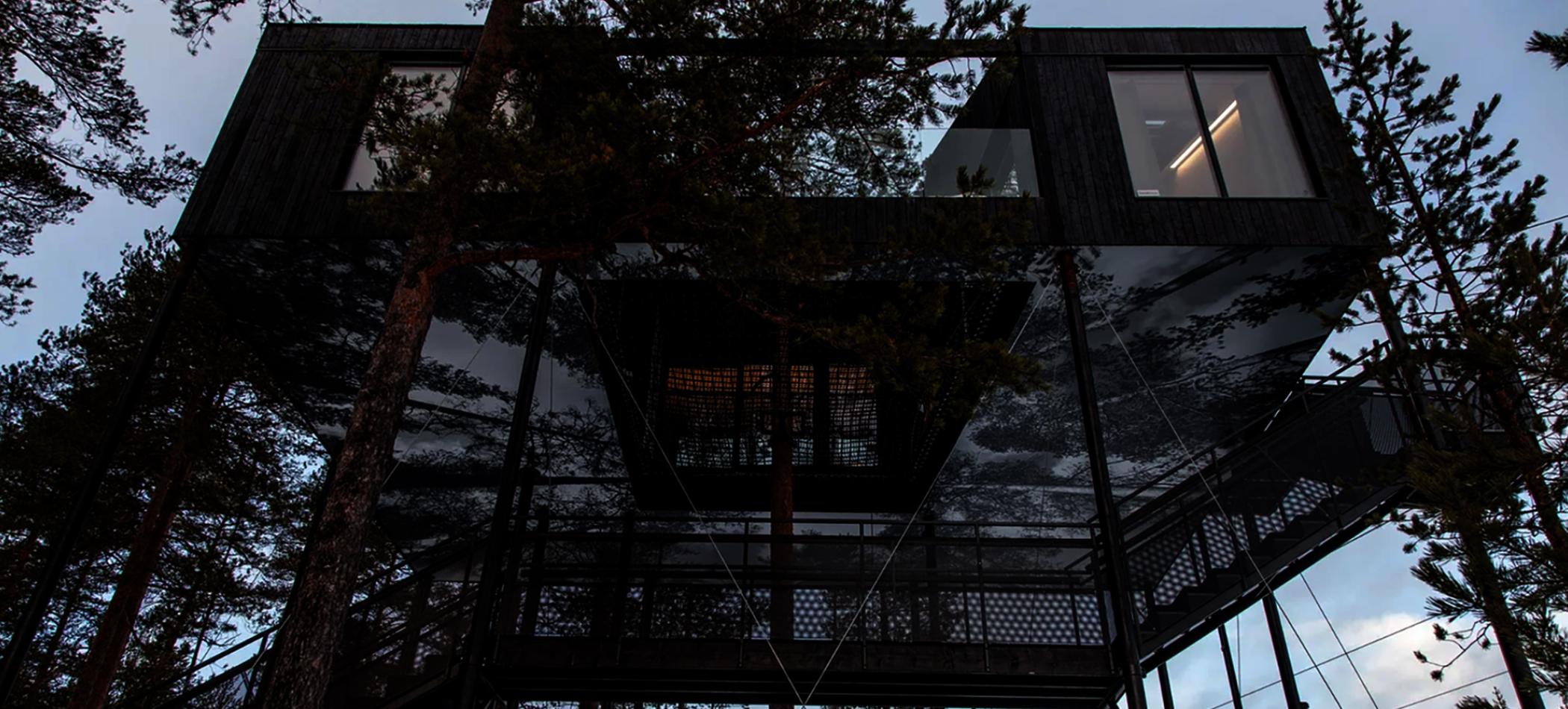 10 meter opp, mellom trekronene