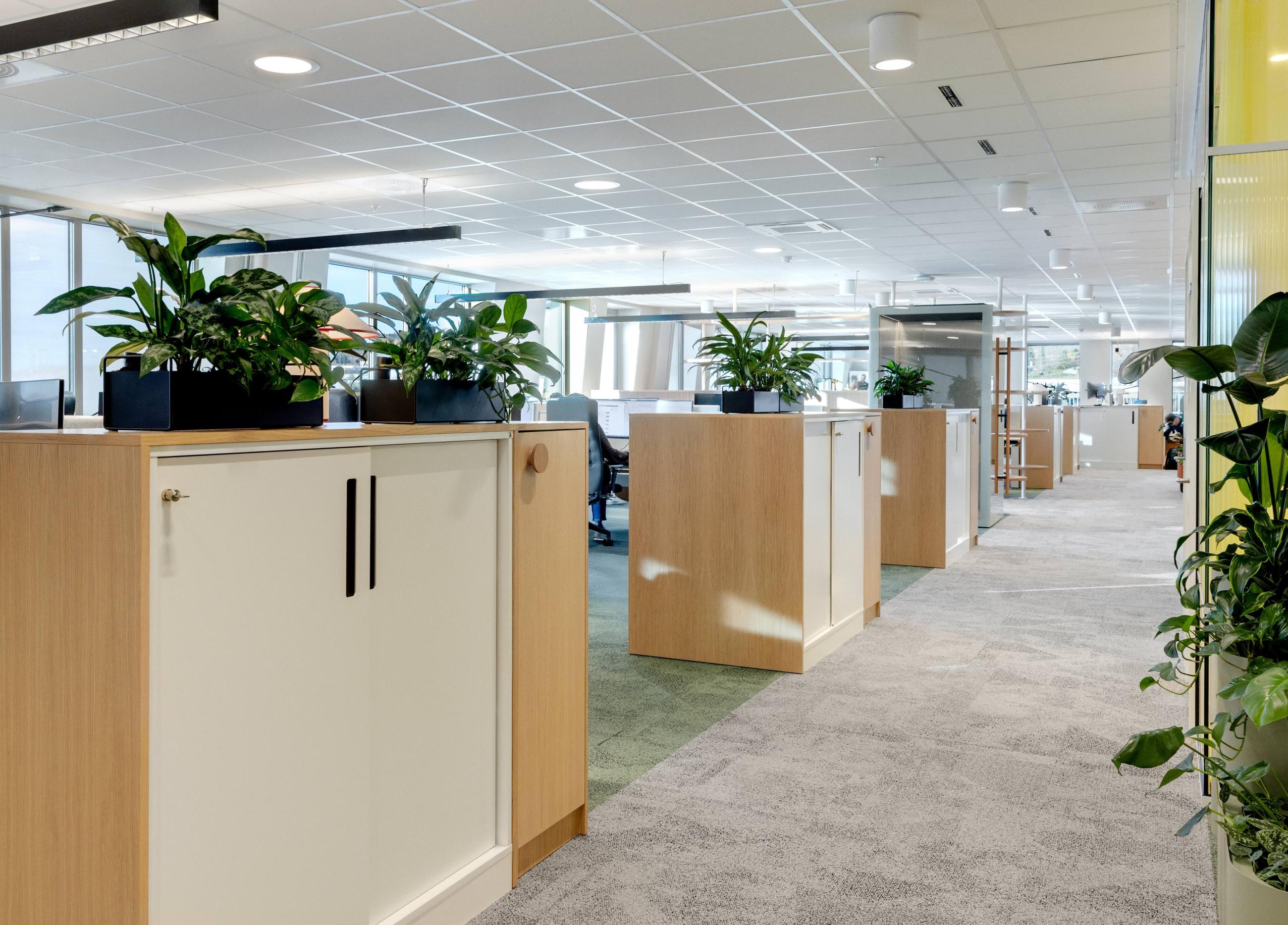 Redesign Arbeidssone 2