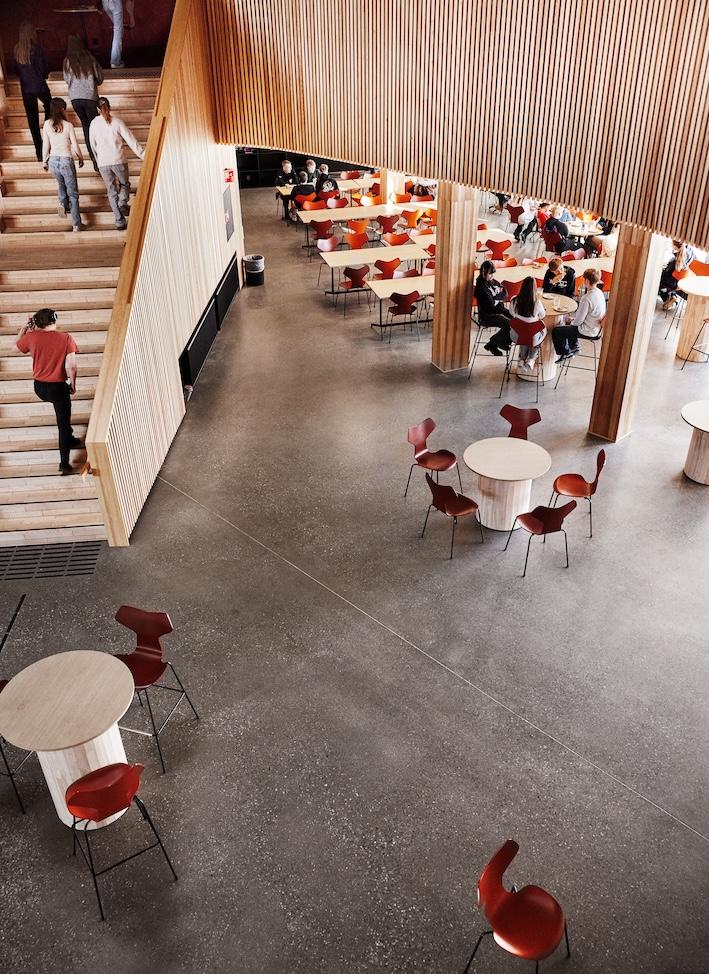 Inventaret i vestibylen korresponderer med byggets materialbruk. Stolens rygg understreker bygningskroppens Y-form inspirert av geviret til reinsdyret.