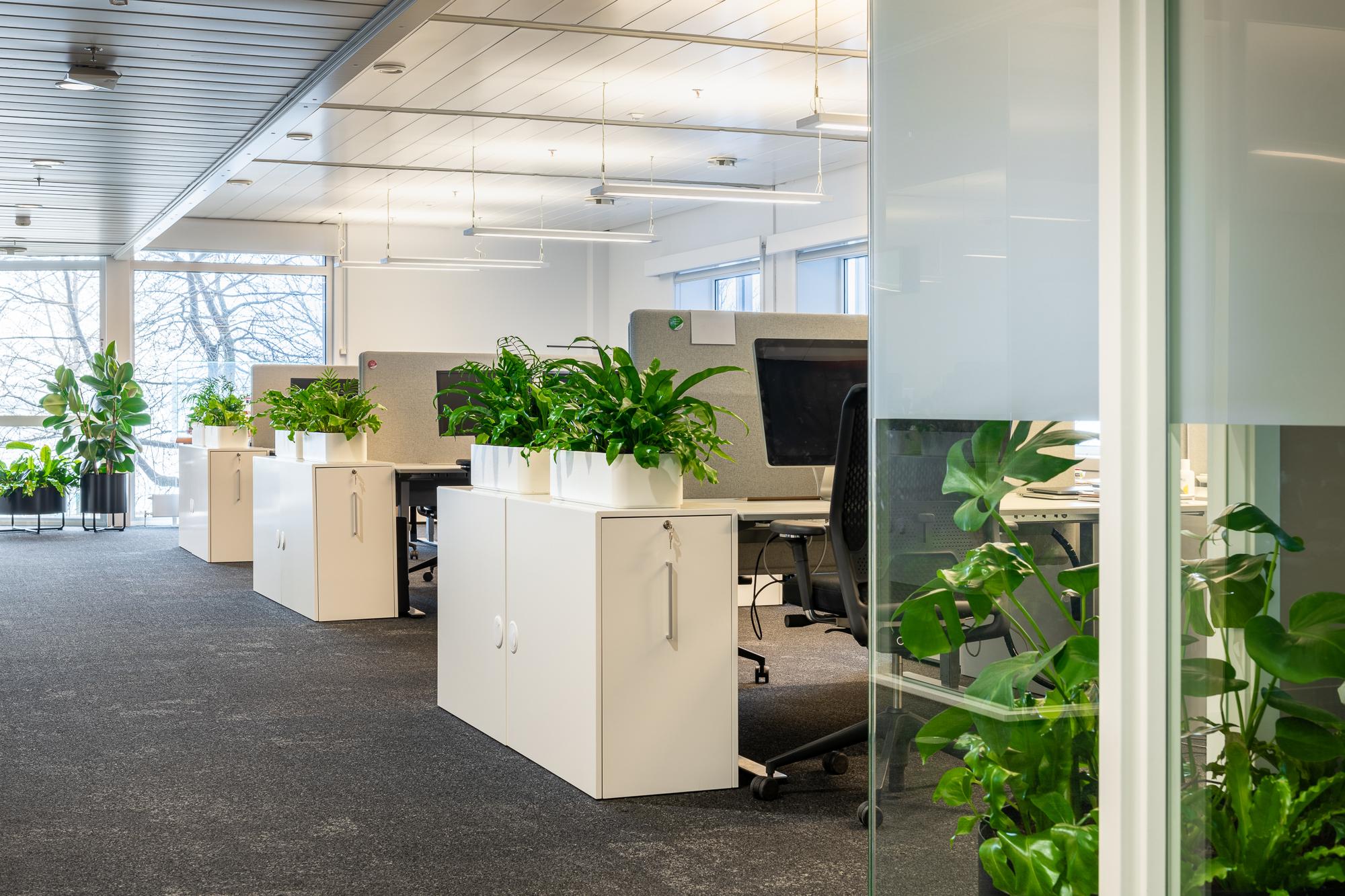 Ombruk av møbler, teppe, himling