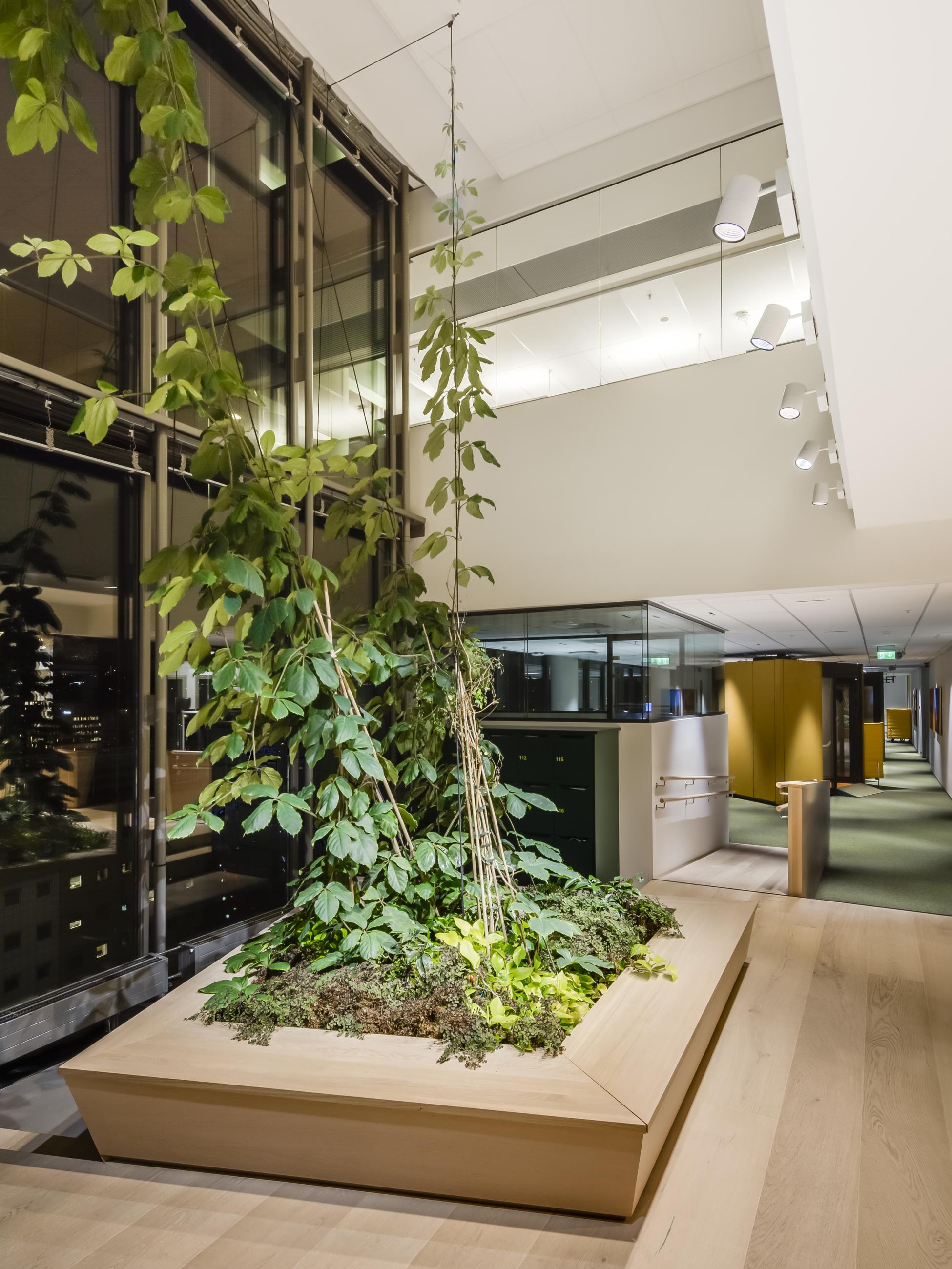 Klatreplanter p&aring; hver side av allmenning