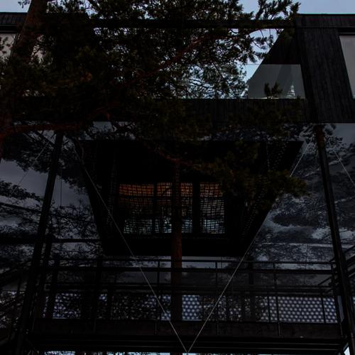 10 meter opp, mellom trekronene